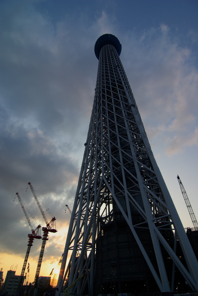 東京スカイツリー２３６