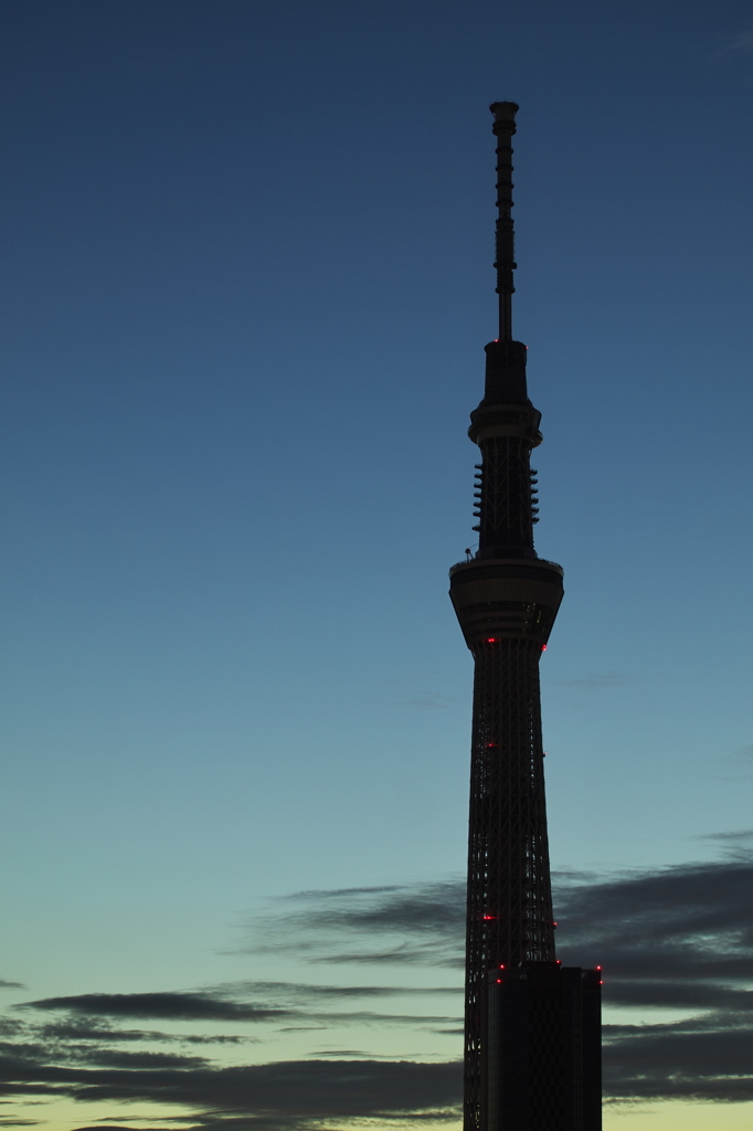 スカイツリー 回顧録_２１９