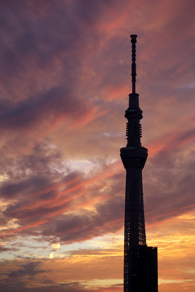夕焼け１