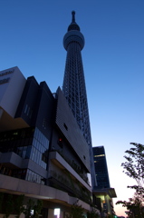 東京スカイツリー００６