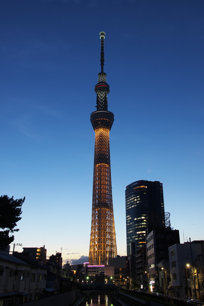 2020年東京オリンピックへ！