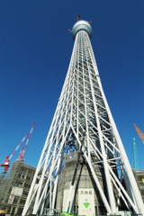 スカイツリー 回顧録_３５