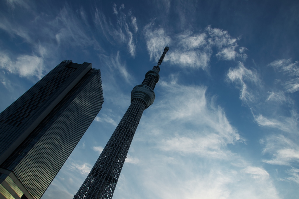 TOKYO SKYTREE
