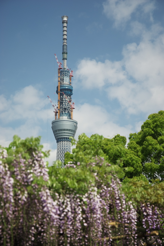 スカイツリー 回顧録_１１１