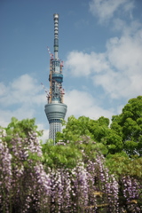 スカイツリー 回顧録_１１１