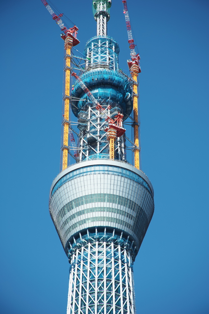スカイツリー 回顧録_８８