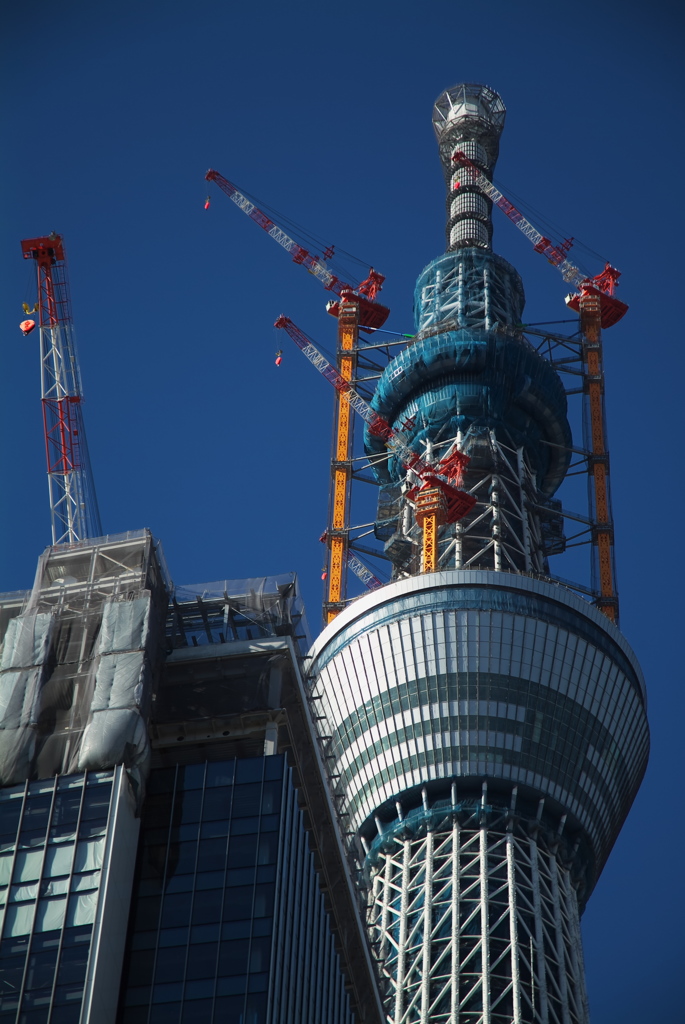 スカイツリー 回顧録_７３