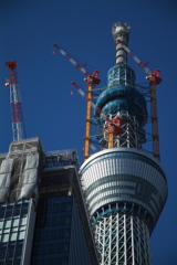 スカイツリー 回顧録_７３