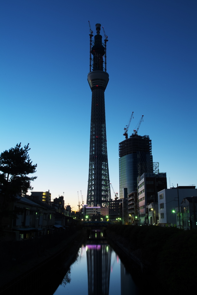 スカイツリー 回顧録_５０