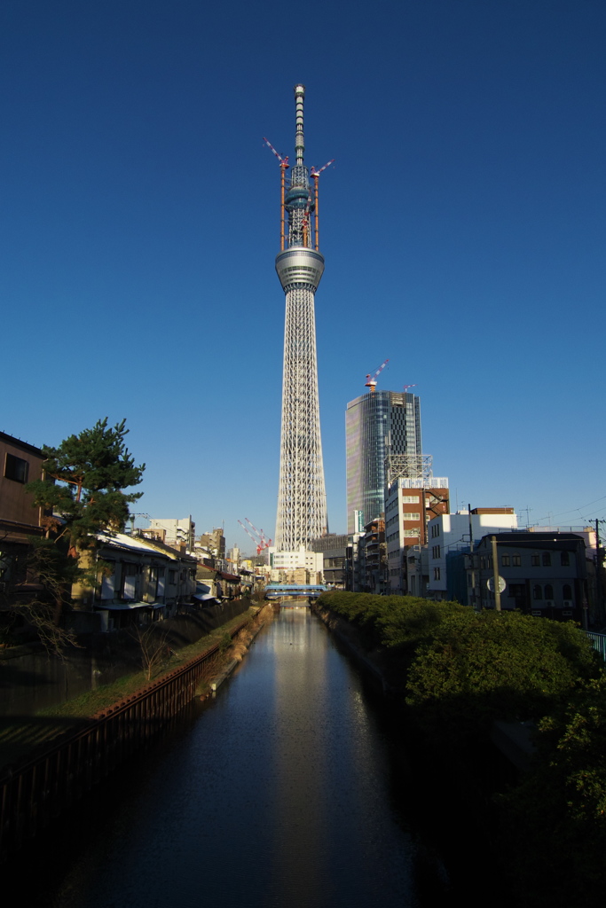 スカイツリー 回顧録_８５