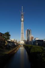 スカイツリー 回顧録_８５