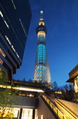TOKYO SKYTREE