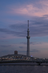 TOKYO SKYTREE
