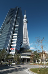TOKYO SKYTREE