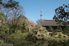 東京スカイツリー０１５