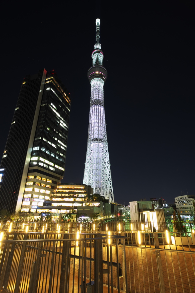 東京スカイツリー　桜ライティング ～咲～ ３