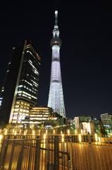 東京スカイツリー　桜ライティング ～咲～ ３