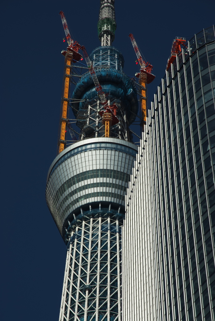 スカイツリー 回顧録_９６