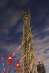 スカイツリー 回顧録_４０