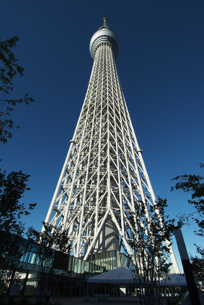 東京スカイツリー０９７