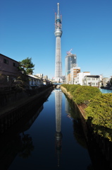 スカイツリー 回顧録_９５