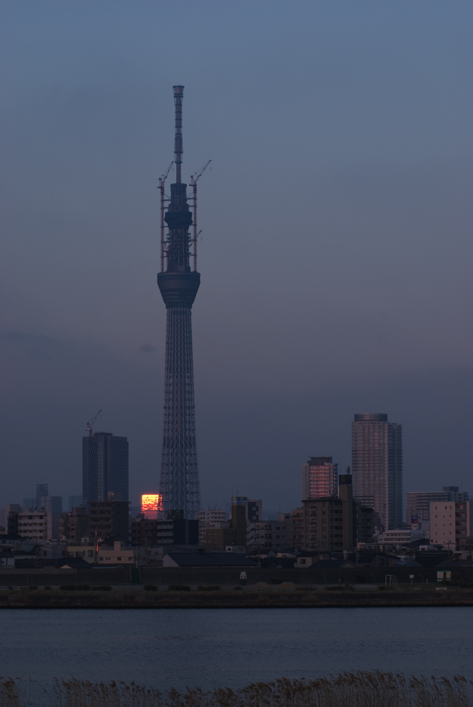 スカイツリー 回顧録_６４