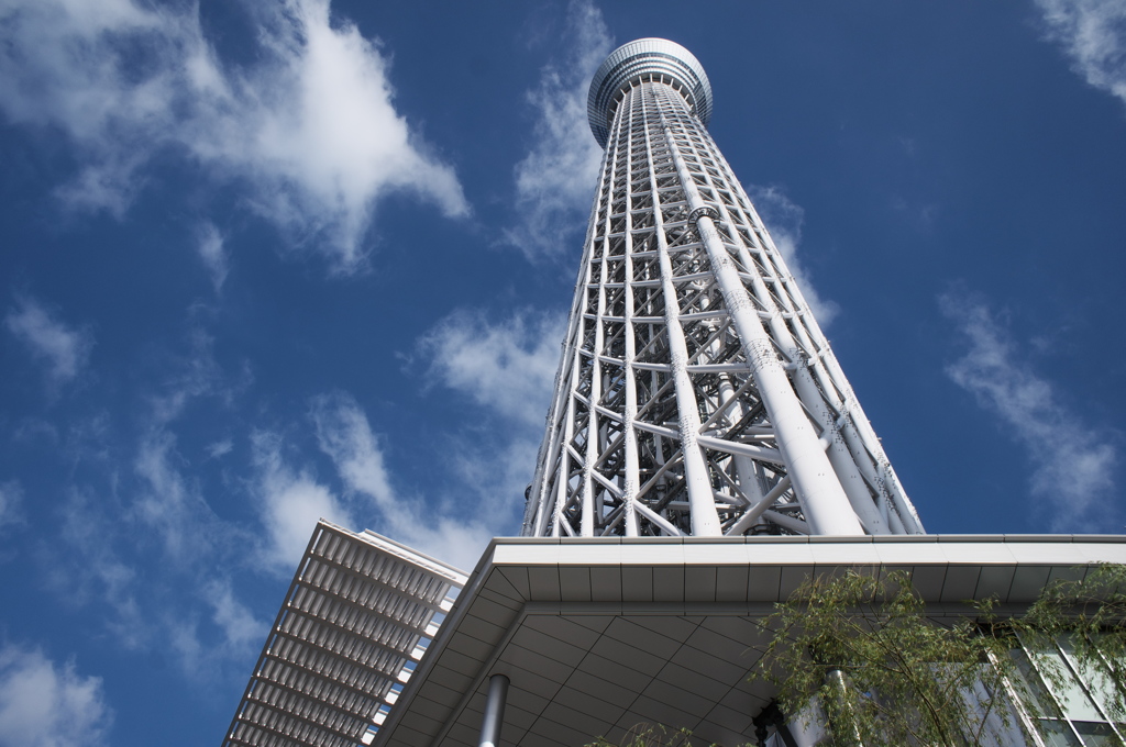 TOKYO SKYTREE