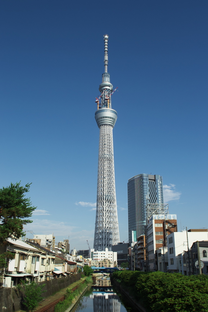 スカイツリー 回顧録_２０６