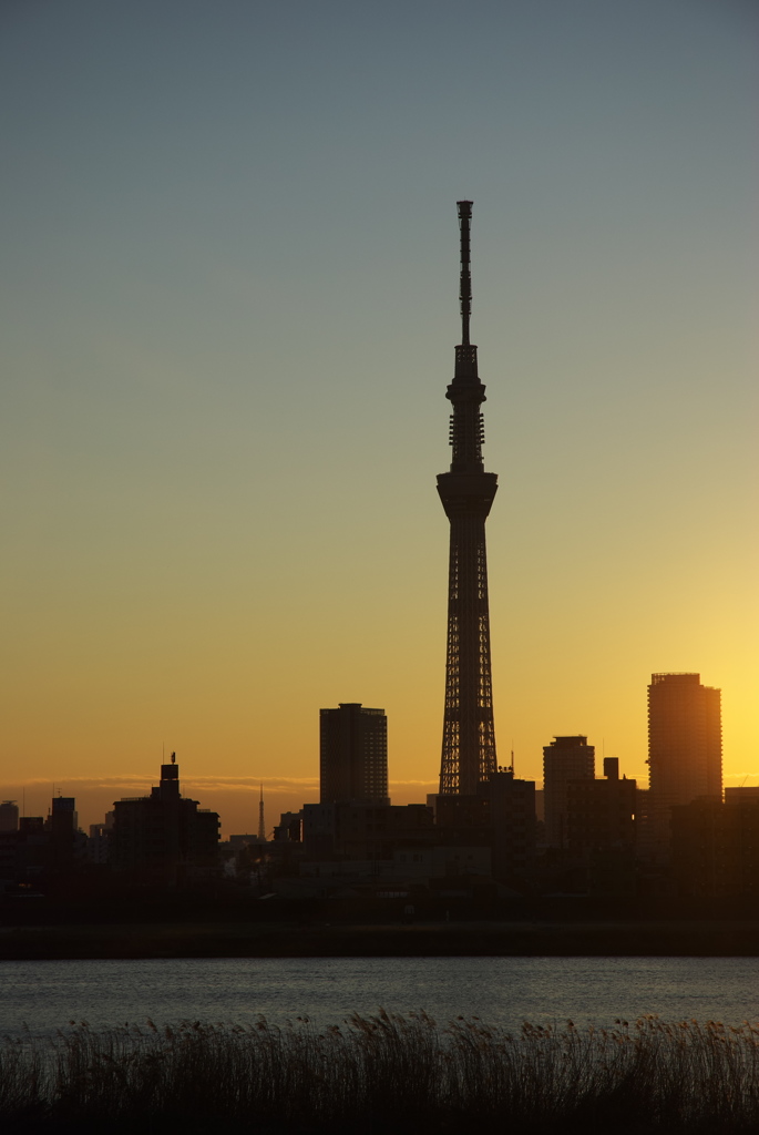 東京スカイツリー０２８