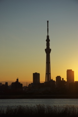 東京スカイツリー０２８