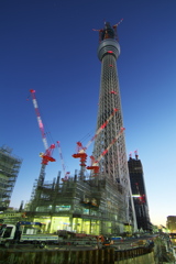 スカイツリー 回顧録_３８