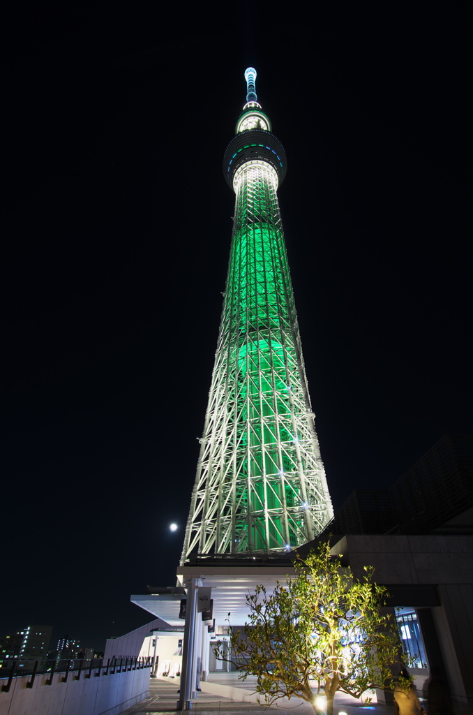 TOKYO SKYTREE