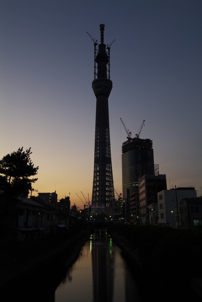 スカイツリー 回顧録_９３