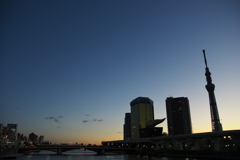 東京スカイツリー０４９