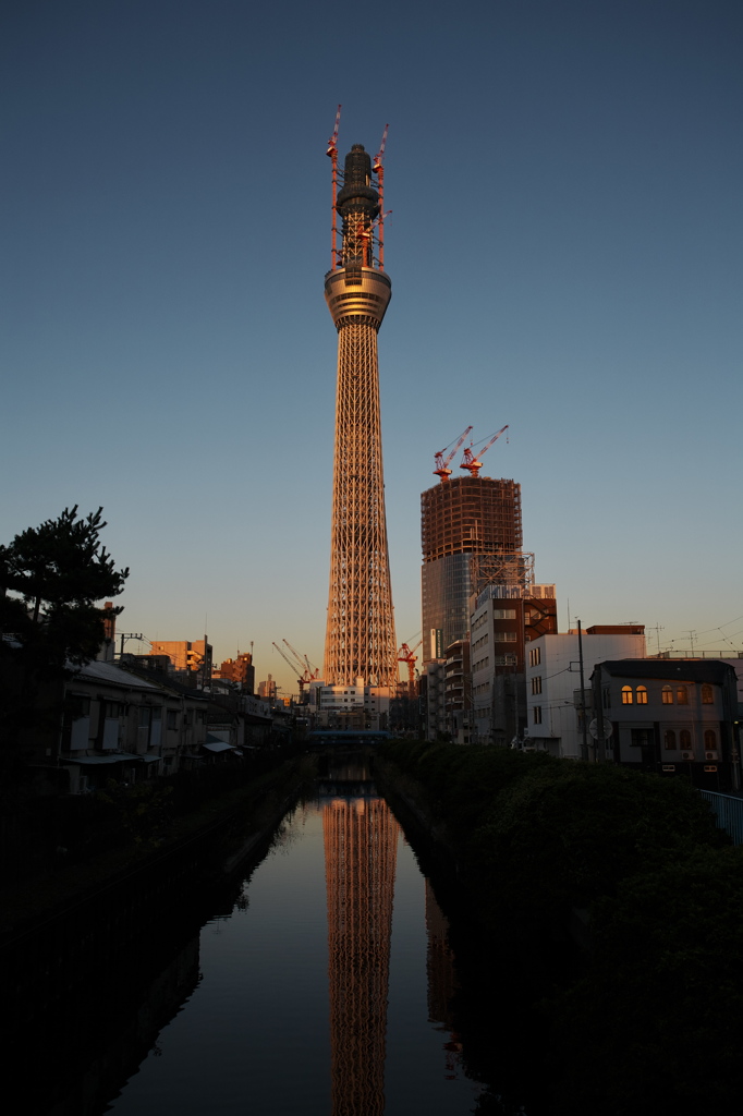 東京スカイツリー２０８