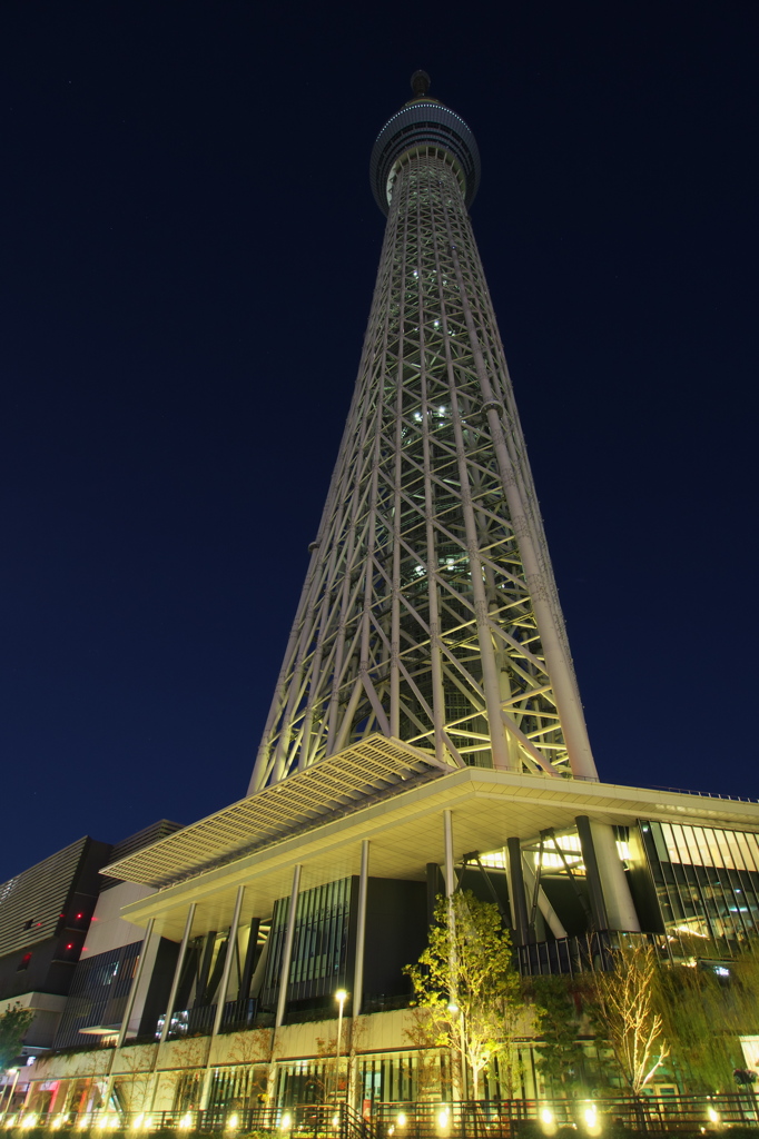 スカイツリー