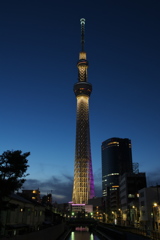 雅
