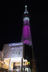 ピンクリボン_６