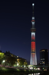 クリスマスライトアップ２