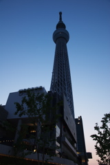TOKYO SKYTREE