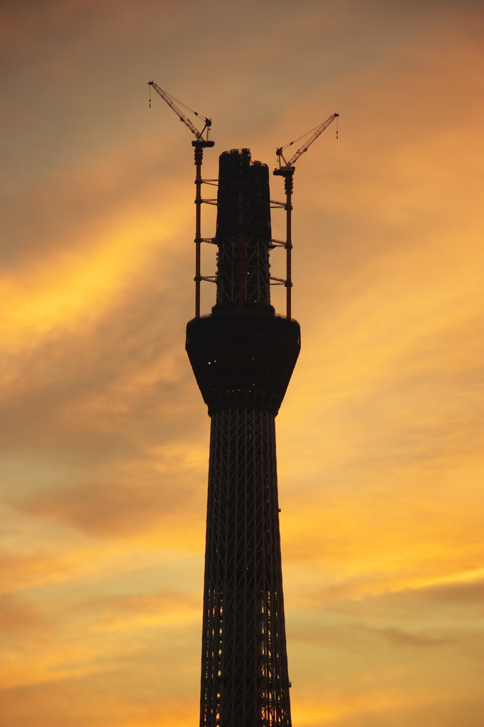 スカイツリー 回顧録_１６５