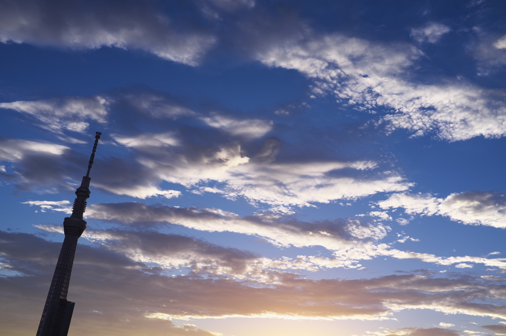TOKYO SKYTREE