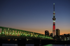 キャンドルツリー