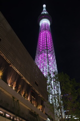 ピンクリボン_７