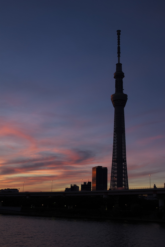 TOKYO SKYTREE