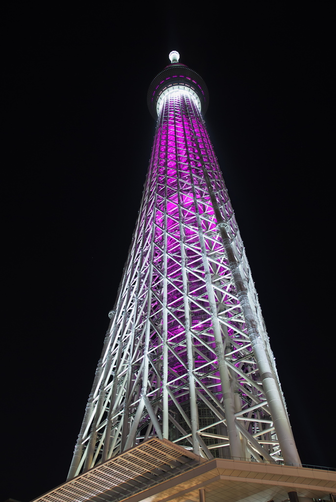 ピンクリボン_２