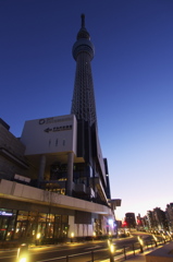 夜明け