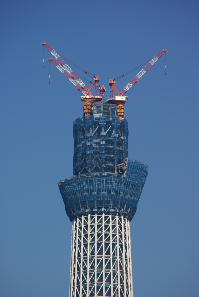 東京スカイツリー２２０