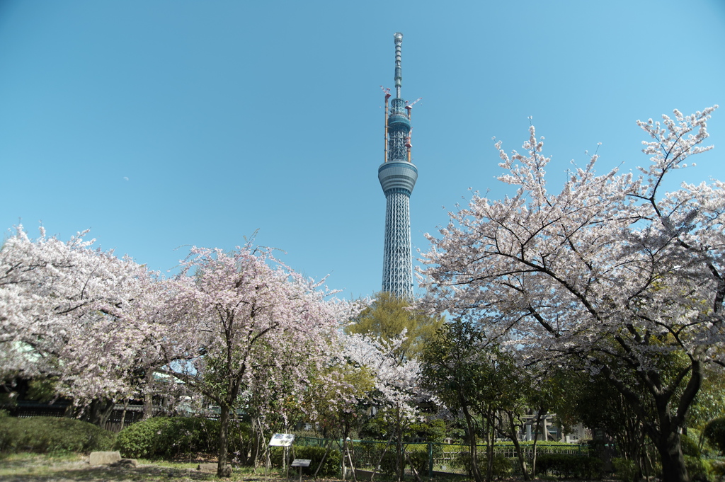 スカイツリー 回顧録_６９
