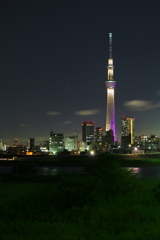 東京スカイツリー０５１